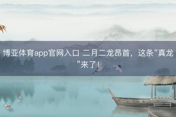 博亚体育app官网入口 二月二龙昂首，这条“真龙”来了！