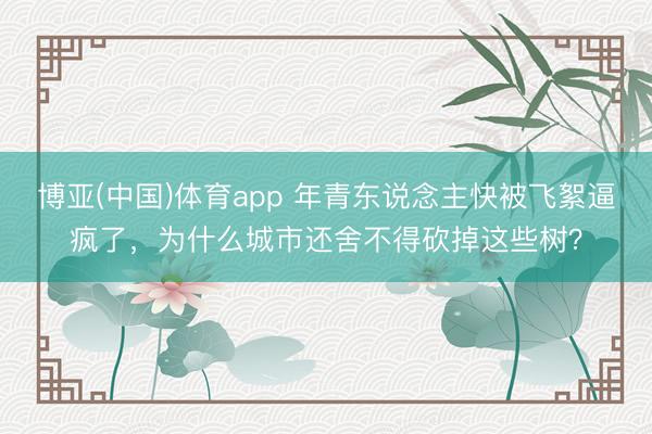 博亚(中国)体育app 年青东说念主快被飞絮逼疯了，为什么城市还舍不得砍掉这些树？