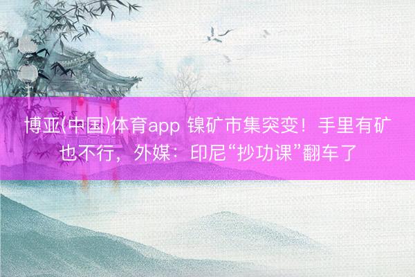 博亚(中国)体育app 镍矿市集突变！手里有矿也不行，外媒：印尼“抄功课”翻车了