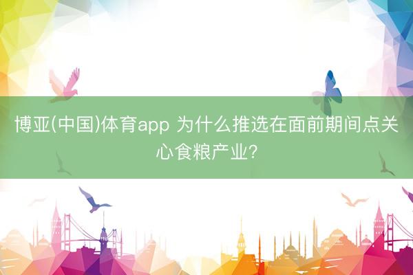 博亚(中国)体育app 为什么推选在面前期间点关心食粮产业？