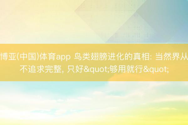 博亚(中国)体育app 鸟类翅膀进化的真相: 当然界从不追求完整， 只好"够用就行"