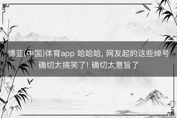 博亚(中国)体育app 哈哈哈， 网友起的这些绰号确切太搞笑了! 确切太意旨了