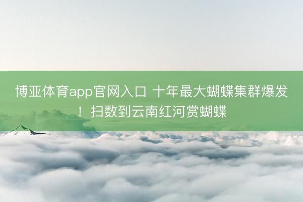 博亚体育app官网入口 十年最大蝴蝶集群爆发！扫数到云南红河赏蝴蝶