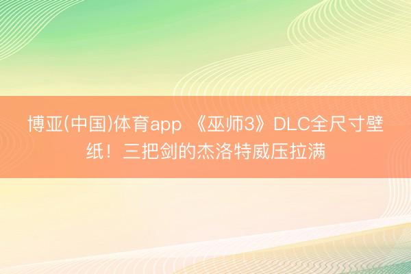 博亚(中国)体育app 《巫师3》DLC全尺寸壁纸！三把剑的杰洛特威压拉满