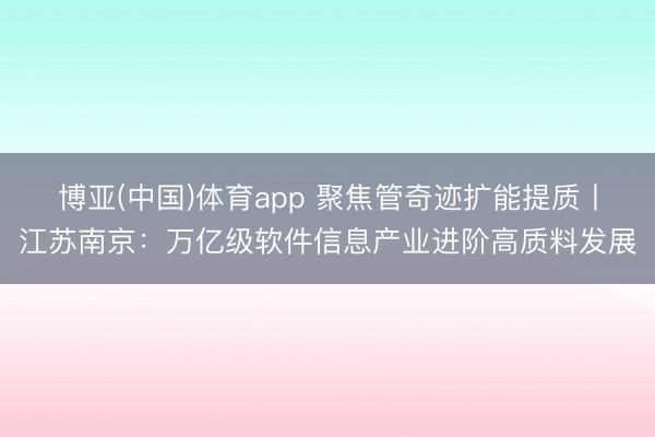 博亚(中国)体育app 聚焦管奇迹扩能提质丨江苏南京：万亿级软件信息产业进阶高质料发展