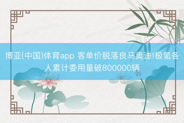 博亚(中国)体育app 客单价脱落良马奥迪!极氪各人累计委用量破800000辆