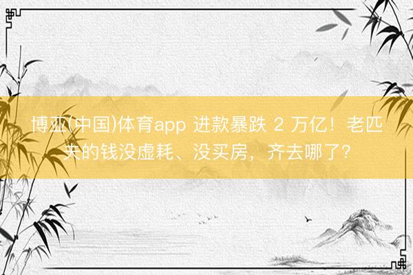 博亚(中国)体育app 进款暴跌 2 万亿！老匹夫的钱没虚耗、没买房，齐去哪了？